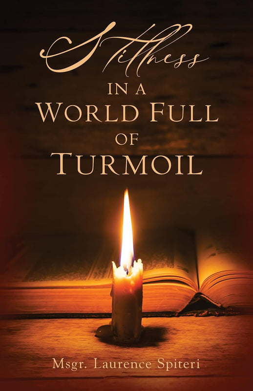 Stillness in a World Full of Turmoil - Laurence Spiteri