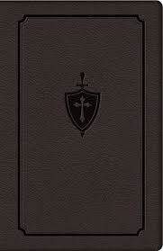 Manual for Conquering Deadly Sin - Fr. Dennis Kolinski S.J.C.