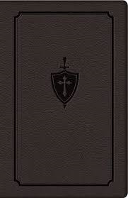 Manual for Conquering Deadly Sin  -  Fr. Dennis Kolinski S.J.C.