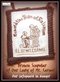 Our Lady Of Mt. Carmel Brown Scapular